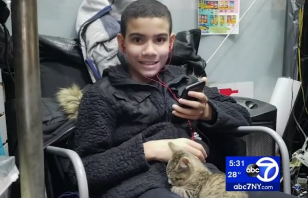 十歲的強納森患有自閉症，貓咪露娜是他的心靈支柱。（圖／翻攝自Youtube@Eyewitness News ABC7NY ）
