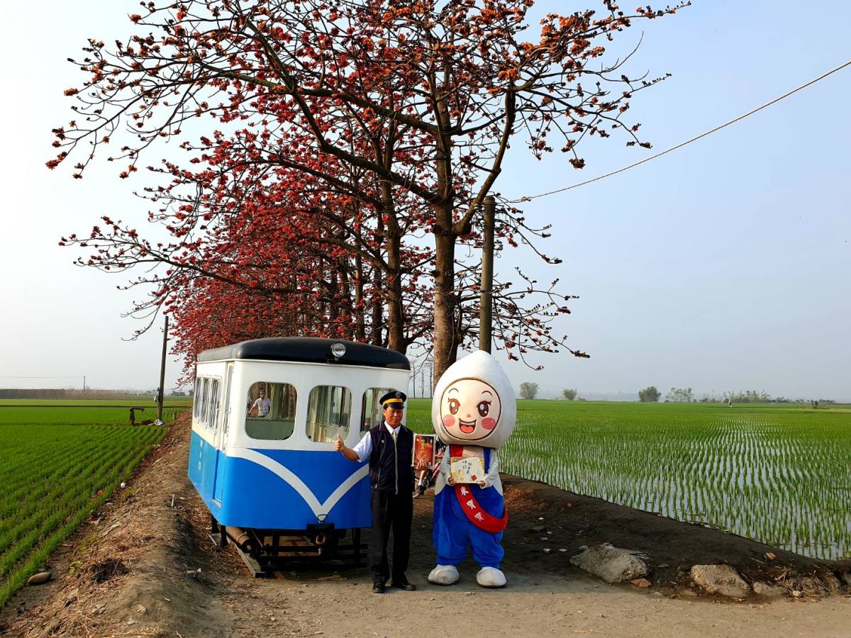▲台糖135巡道車在木棉花道及竹塘車站舊址進行快閃活動，吸引不少民眾目光，也勾起不少人懷念以前搭小火車的記憶。（圖／記者陳雅芳翻攝，2019.03.02）