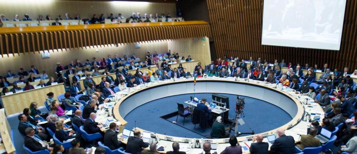 ▲世界衛生組織（WHO）2月21日上午在北京舉行流感疫苗選株會議，我國遭到打壓首度缺席。（圖／WHO官網, 2019.3.3）