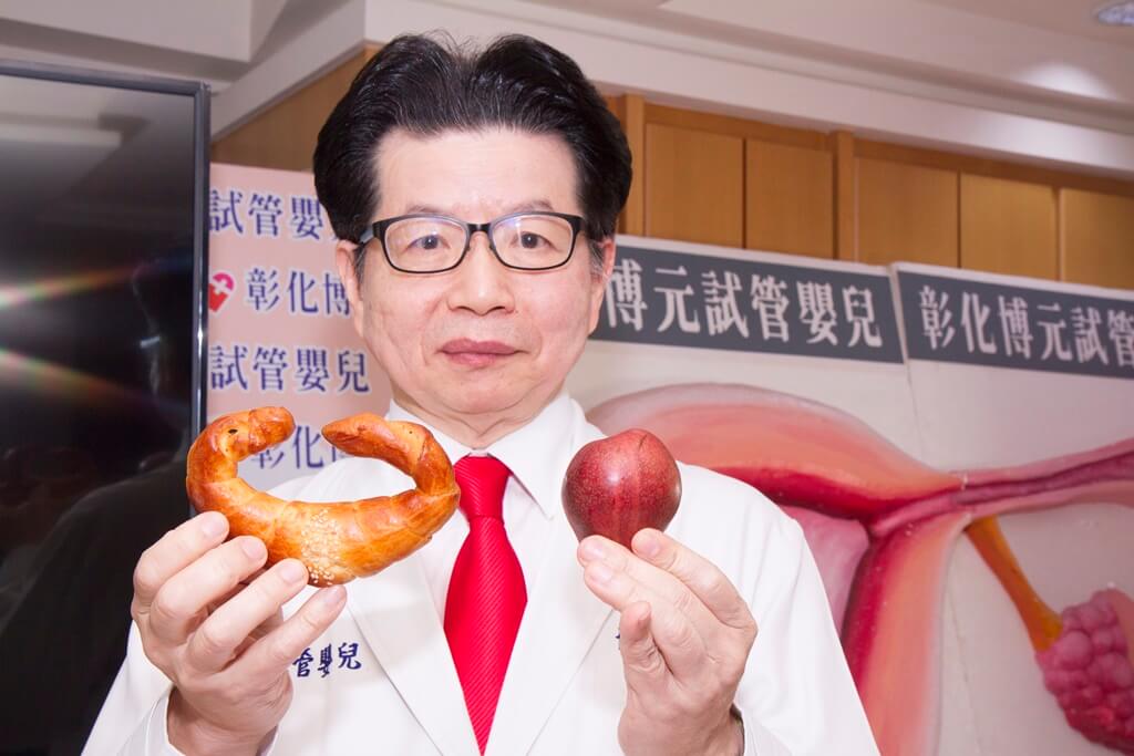 ▲正常的子宮形狀應為倒的西洋梨型，子宮像牛角麵包一樣，就是子宮空間就會被壓縮。（圖／記者陳雅芳攝，2019.03.13）