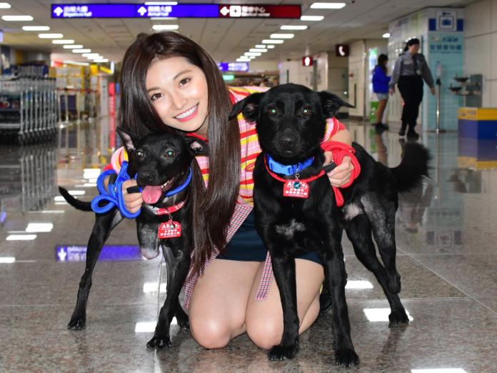 網路歌手祈錦鈅擔任護犬大使。（圖／台灣動物緊急救援小組提供）