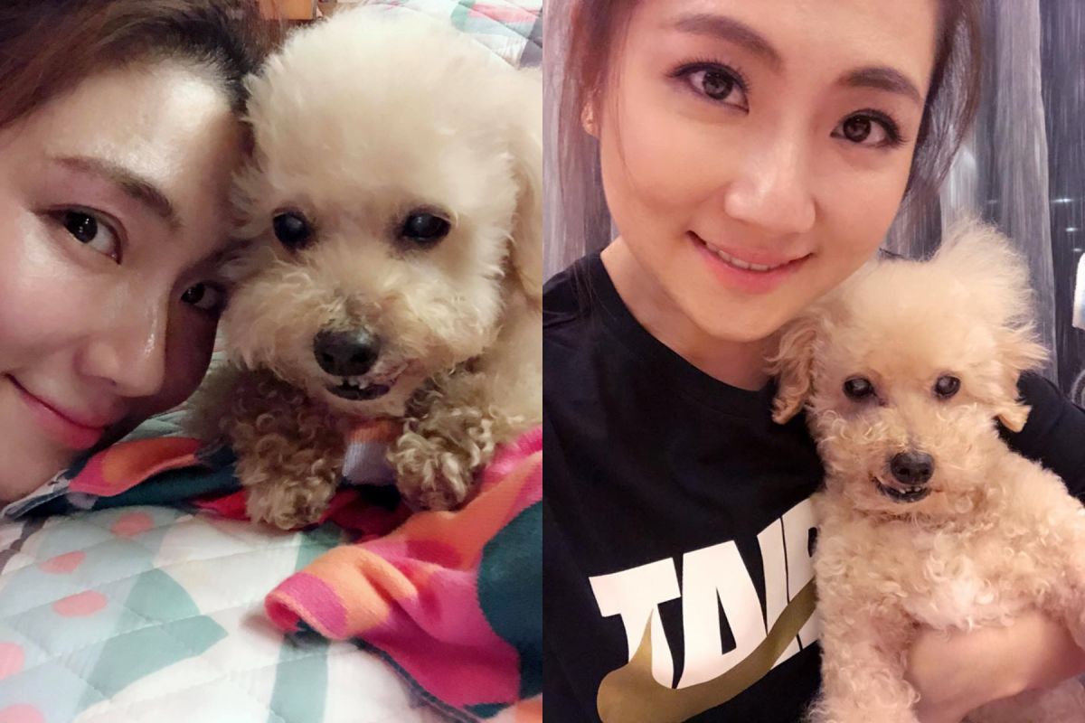 ▲Selina坦言愛犬Pinky就像自己的第一個女兒，姊妹淘都認為她懷的是女兒，就是Pinky來投胎。（圖 / 翻攝Selina臉書）