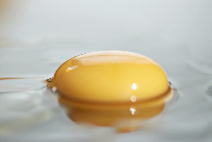 ▲「央視315」晚會曝光了其中一項無良商品是「雞蛋」，報導稱蛋黃顏色深，透過色素「化妝」出來的。(圖 / 翻攝自網路)