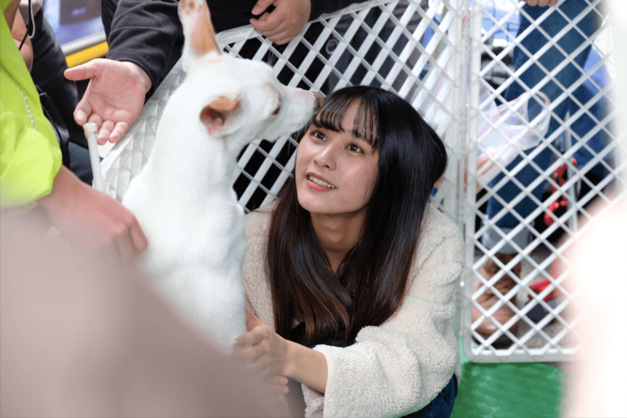 ▲AKB48 Team TP出席流浪狗公益活動。（圖／好言娛樂提供, 2019,03.18）