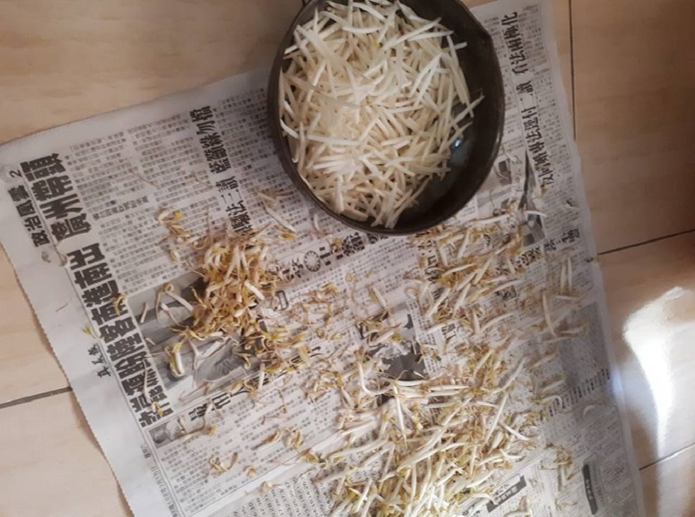 ▲豆芽菜為何要「去頭去尾」？專業老饕揭背後驚人秘密。（圖／翻攝自臉書社團爆廢公社）