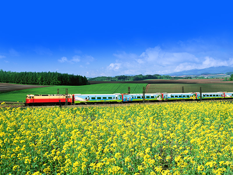 ▲觀光局推出春遊補助計畫，國旅自由行最高可獲 1,500 元補助，旅遊業者也自掏腰包再加碼，團體行程每人折價 500 元，讓旅客享優惠更有感。（圖／易遊網）