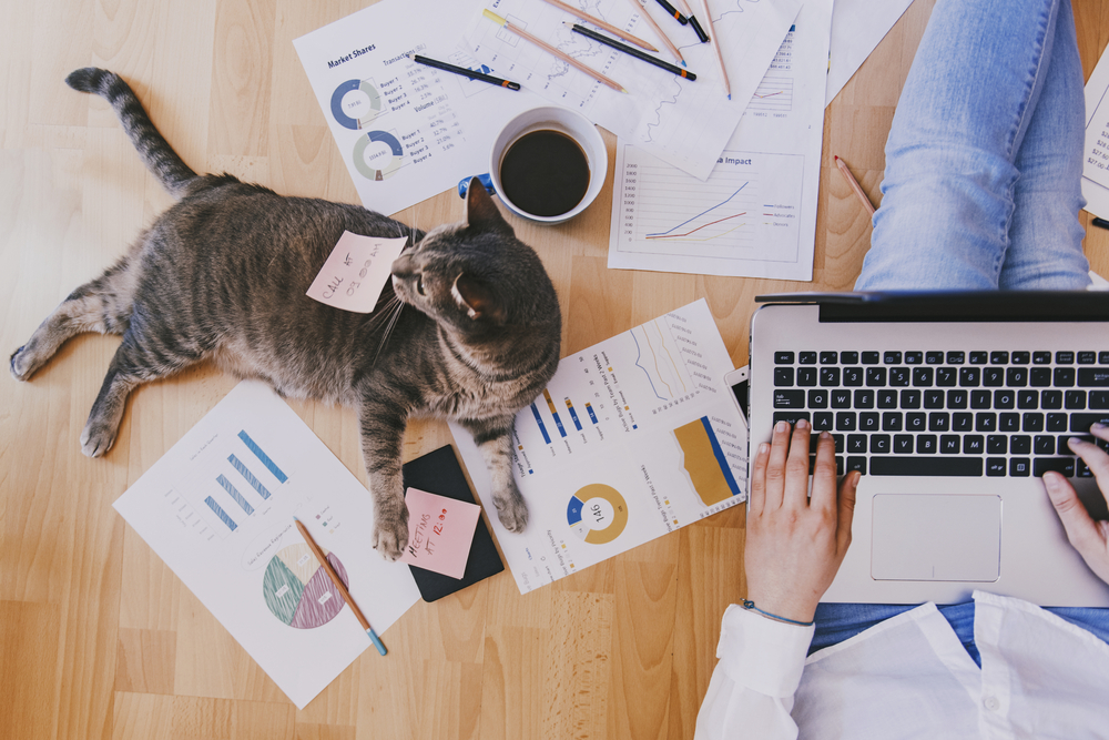 ▲12星座本周運勢出爐，巨蟹座注意身邊出現小人，搶走好機會；處女座、水瓶座、雙魚座接下來這周運氣都不錯。（示意圖／取自Shutterstock）