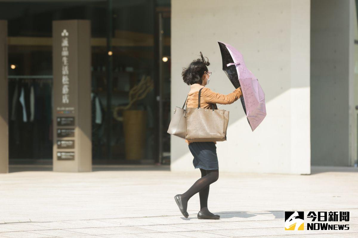 ▲中央氣象局指出，今（26）日白天高溫與昨天相比下降到24度左右，明（27）日連假第一天北臺灣高溫才會明顯下降，回到20初度左右。（圖／記者陳明安攝，2019.03.26）