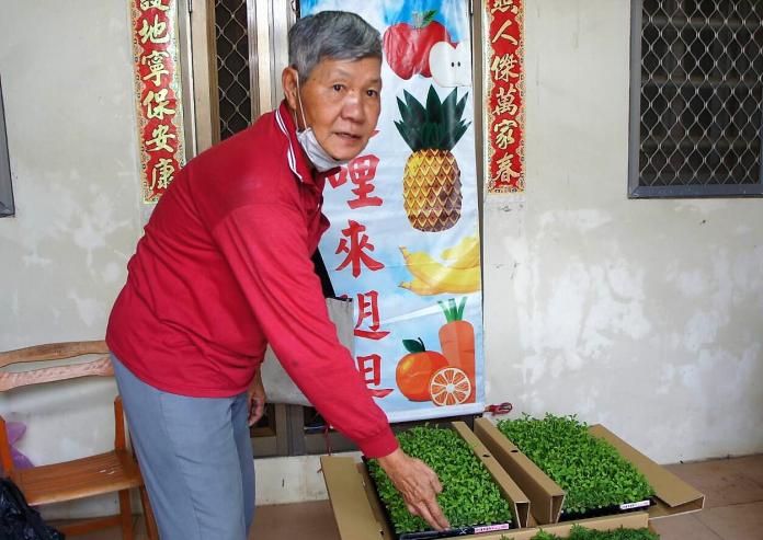 望安離島的植物教師黃鏵　退休返鄉快樂當志工
