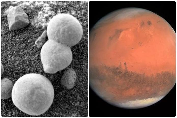美國太空總署（NASA）火星探測車拍到的火星相片中，有類似蘑菇的真菌類植物，顯示火星上可能有生命。（圖／翻攝網路）