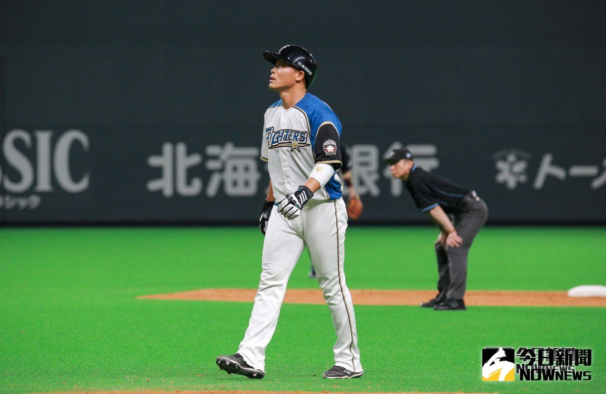  ▲日本火腿鬥士隊外野手王柏融。（圖／記者葉政勳攝 , 2019.03.30）