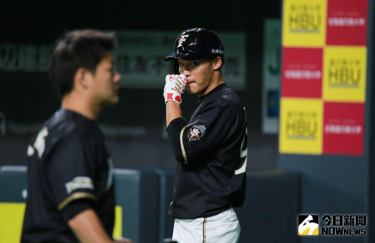 ▲日本火腿隊王柏融（圖／葉政勳攝）