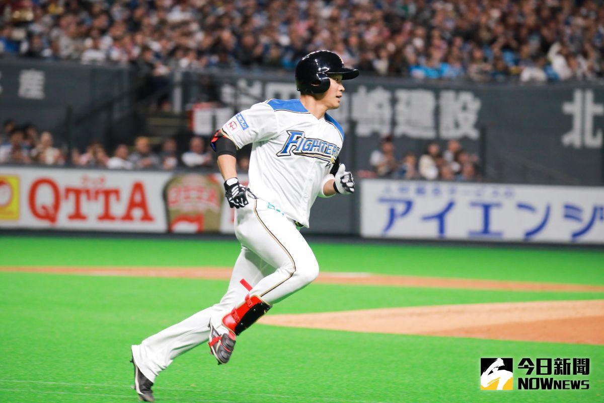 ▲日本火腿鬥士隊外野手王柏融。（圖／記者葉政勳攝 , 2019.03.30）