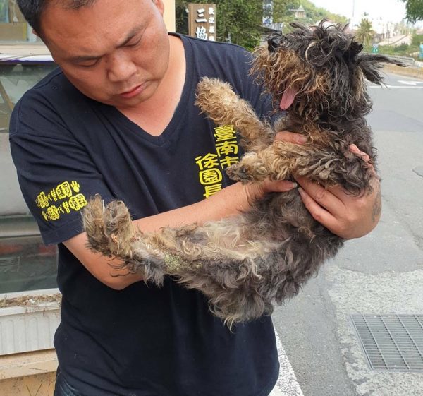 徐文良救援的足跡遍佈全台。（圖／翻攝自徐文良（徐園長護生園）臉書）