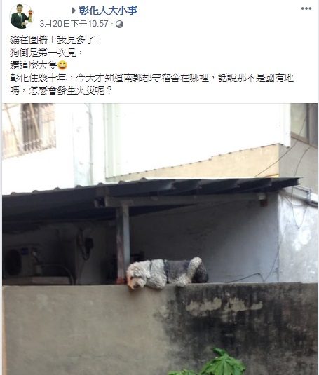 有一名網友看到一隻大狗趴在牆上新奇，沒想到釣出許多人抱怨曾被嚇到。（圖／翻攝自臉書彰化人大小事）