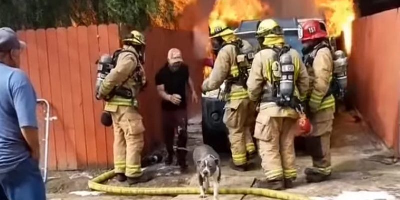 鄰居告知家裡有火災　男子不顧自身安危衝進火場救愛犬！
