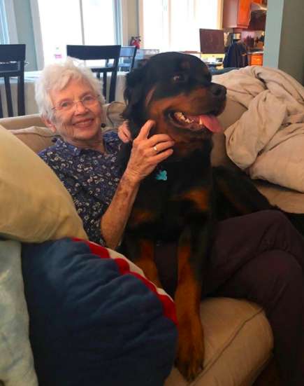 葛斯證明了無論多大的狗，都可以躺大腿的！（圖／Instagram/gus_the_rottie）