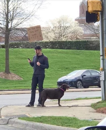 美國男子撿到狗，在路邊舉牌為牠找主人。（圖／Lyndsay Tapases/Twitter）