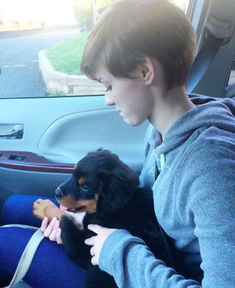 洛威拿犬葛斯剛帶回家時，還是隻小幼幼。（圖／Instagram/gus_the_rottie）