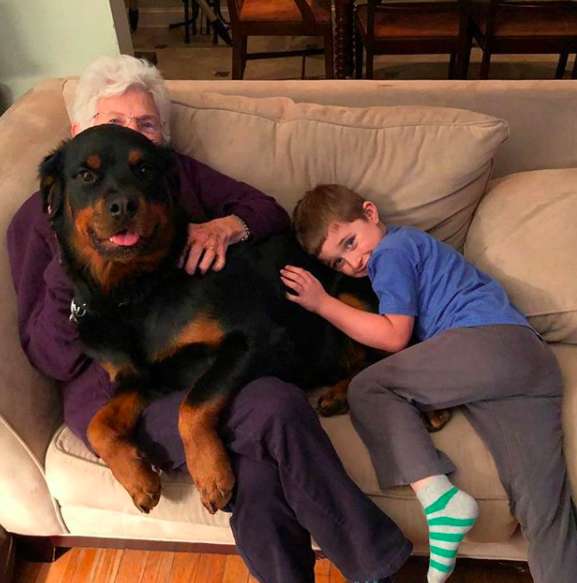 葛斯三兩下就收服阿嬤的心。（圖／Instagram/gus_the_rottie）