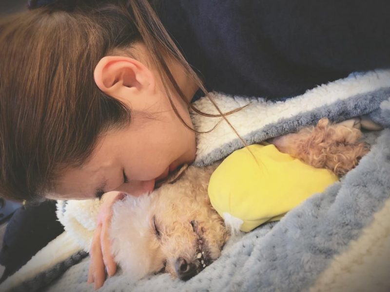 ▲Selina的愛犬Pinky在2019年過世，讓她相當心痛。（圖 / 翻攝Selina臉書）