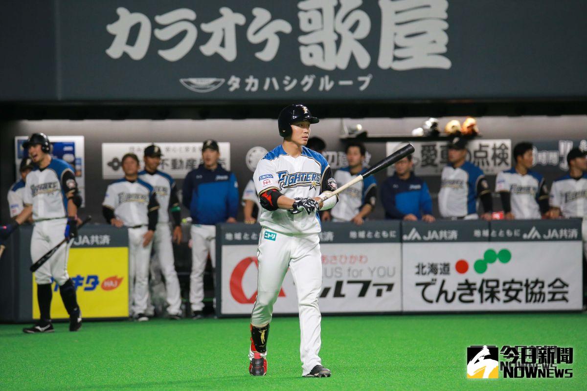  ▲日本火腿鬥士隊外野手王柏融。（圖／記者葉政勳攝 , 2019.03.30）