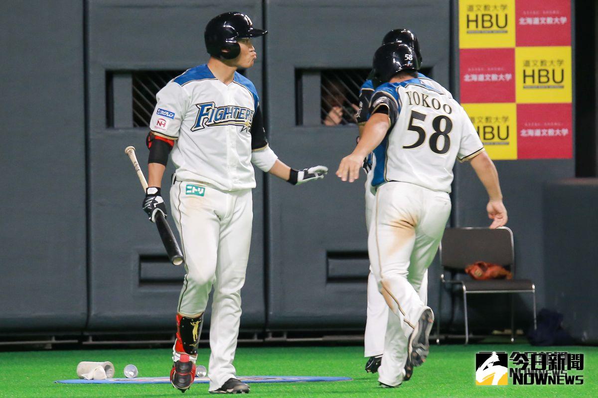  ▲日本火腿鬥士隊外野手王柏融。（圖／記者葉政勳攝 , 2019.03.30）