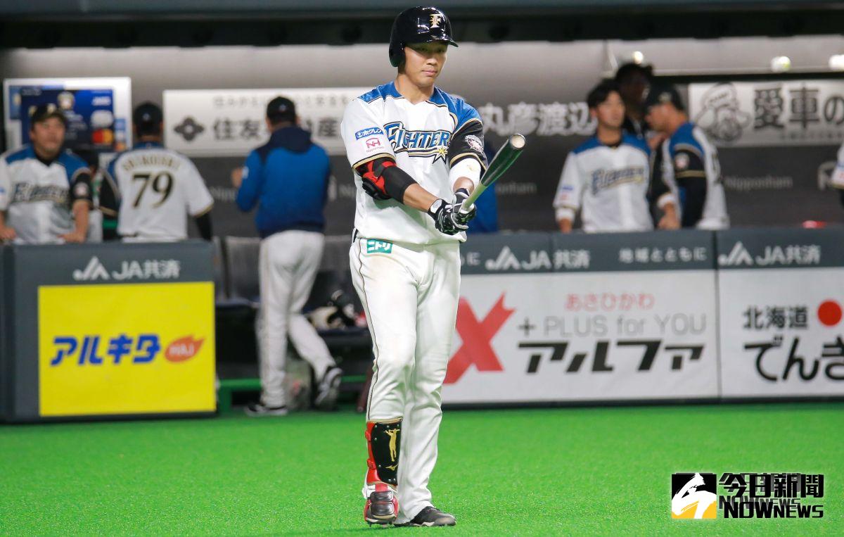  ▲日本火腿鬥士隊外野手王柏融。（圖／記者葉政勳攝 , 2019.03.30）