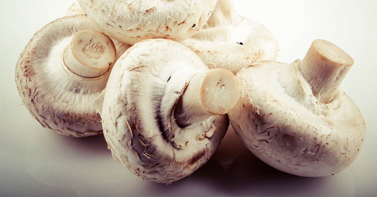 ▲近期新加坡1項研究指出，每星期吃2次以上的蘑菇，可防止60歲以後記憶衰退和語言障礙。（圖／ingimage）