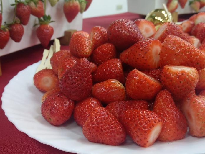新品種草莓戀香是國內糖度最高的品種。（圖／記者陳俐穎攝）