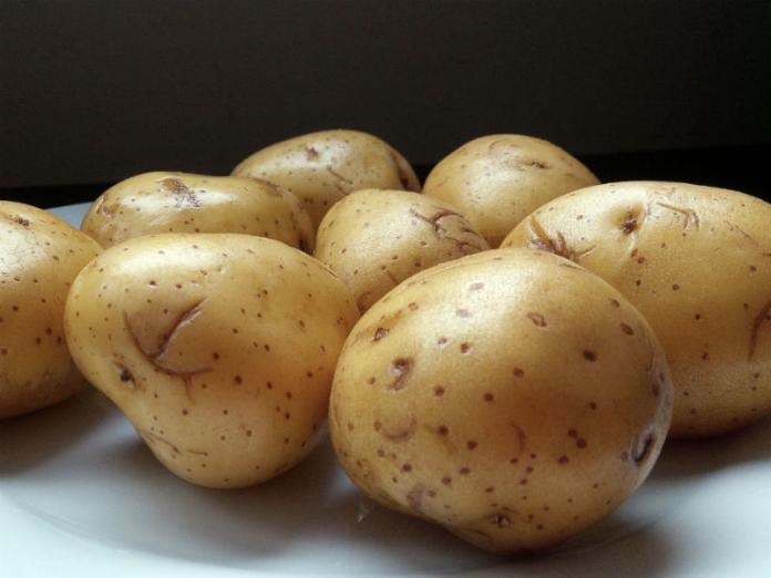 ▲食藥署表示，馬鈴薯變綠的程度，並非與生物鹼含量直接劃上等號。（圖/pixabay）