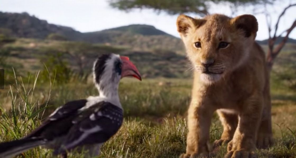 ▲可愛的辛巴回來囉。（影片截圖）