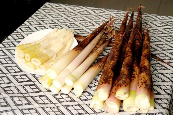 桂竹筍，享用食物的原形而且高纖低熱量、營養價值高。（圖／農糧署提供）