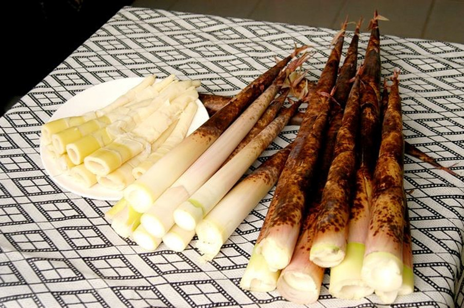 桂竹筍，享用食物的原形而且高纖低熱量、營養價值高。（圖／農糧署提供）