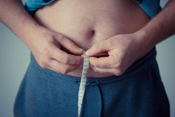 ▲美國一項研究指出，體重（ BMI ）與臀腰較胖的人，不僅腦容量會越低，甚至還會增加罹患阿茲海默症的風險。（示意圖／取自pixabay）