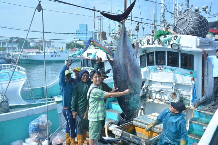 2019黑鮪魚季第一鮪確認　潘孟安20日擔任拍賣官
