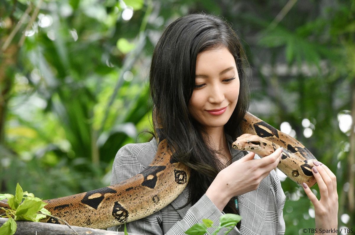 ▲菜菜緒十分大膽，對各種動物來者不拒。（圖／緯來）