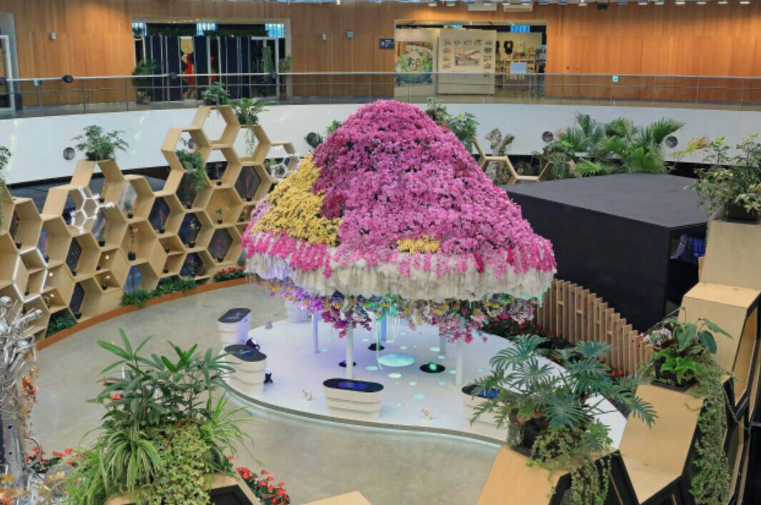 ▲后里馬場園區花舞館內蘭花廳。(圖／教育局提供2019.4.21)