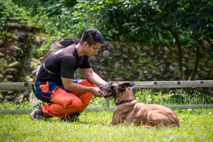 【新聞照片四】Beta更是搜救犬隊中的拼命三郎 對於救災工作往往是盡力到最後一刻