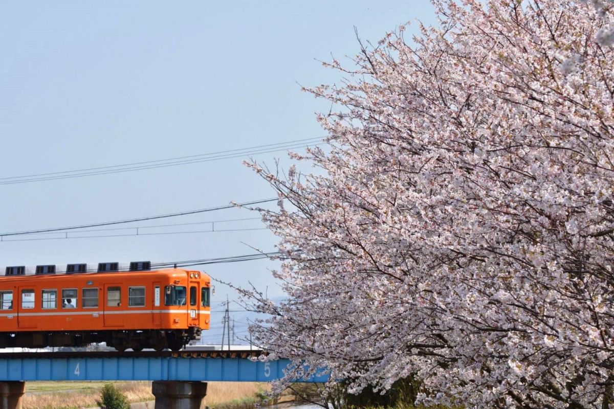 ▲台鐵副總經理黃振照透露，今年將攜手島根縣一畑電車，在台日雙方再推出新的彩繪列車。（圖／台鐵）