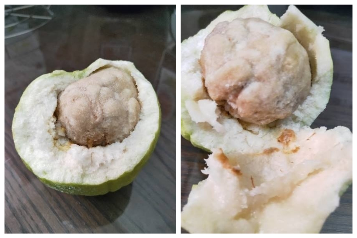 ▲你有看過芭樂裡頭出現這麼一大顆「貢丸」嗎？（圖／翻攝自爆怨公社）