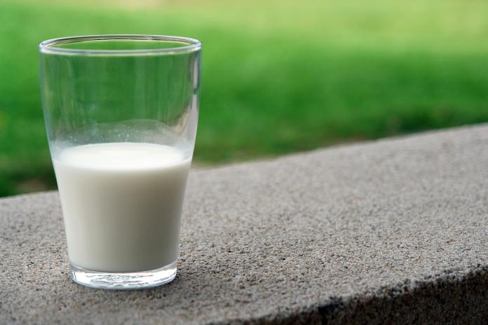 ▲牛奶等乳製品不宜在運動前或運動中飲用，因為乳製品所含的脂肪，得花上一段時間才能消化。（圖／取自pixabay）