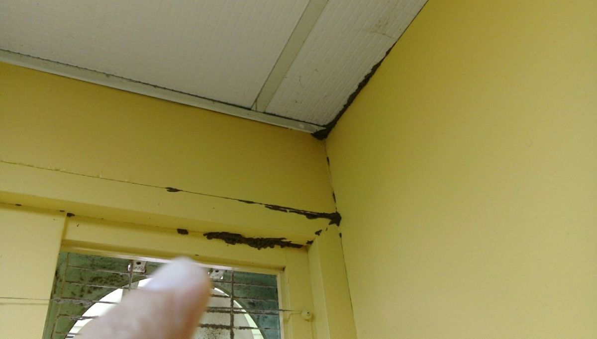 ▲木質裝潢出現白蟻蛀蝕的現象(圖/信義房屋提供)