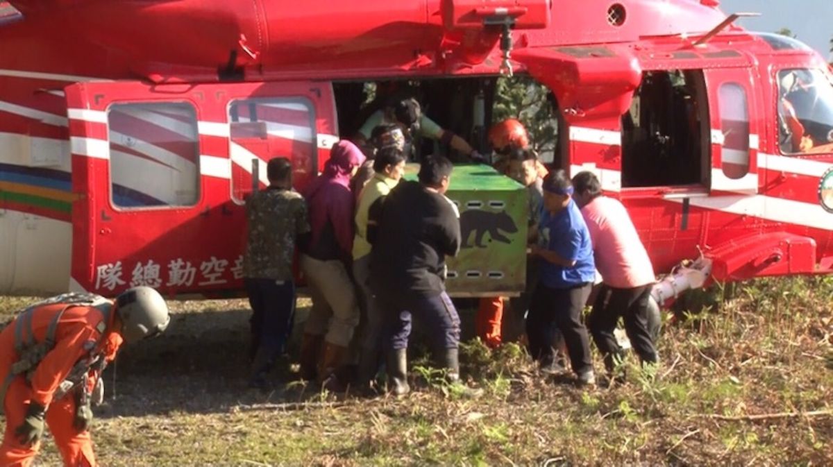 ▲空勤總隊出動黑鷹直升機，30日圓滿運送「南安小熊」回家。（圖／空勤總隊提供, 2019.4.30）
