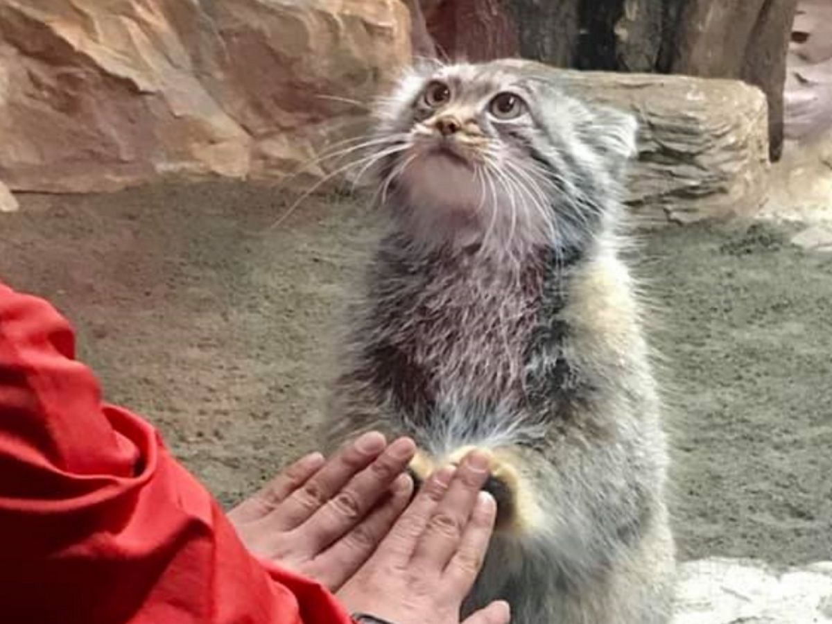 （圖／FB＠那須どうぶつ王国）