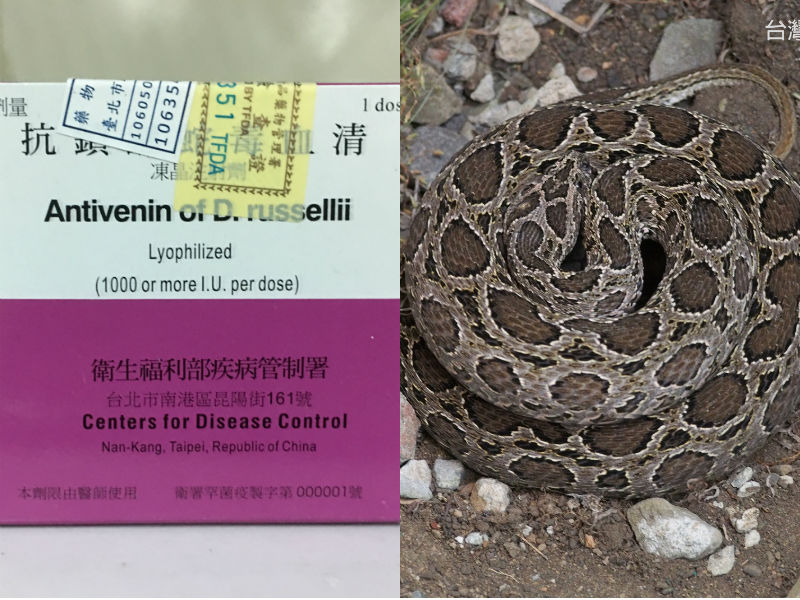 ▲疾管署宣布，於台北、台中榮民總醫院兩醫院放置抗鎖鏈蛇血清。（圖／疾管署提供）