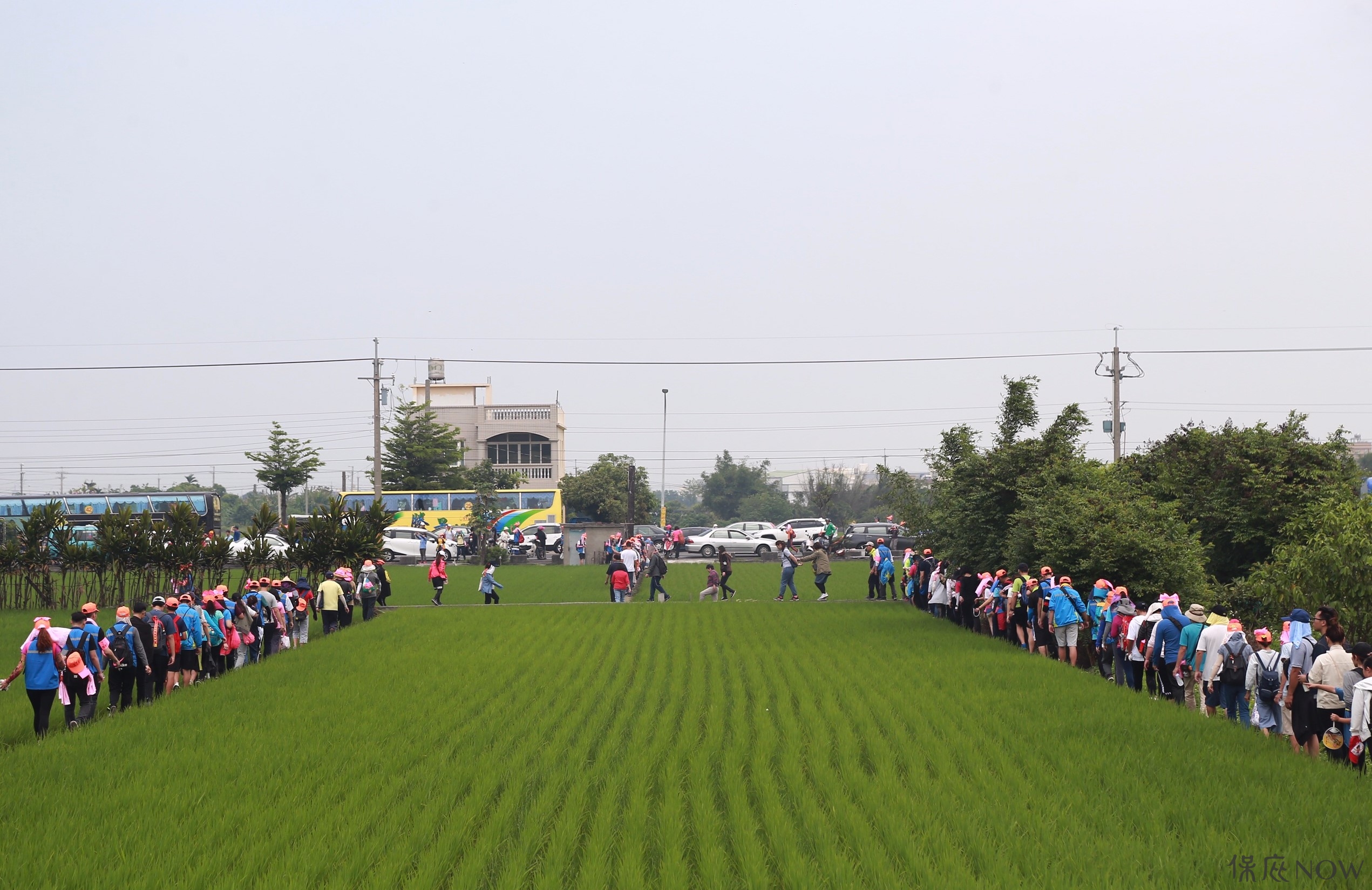 大家堅定地跟著媽祖走。（圖／記者葉政勳攝）