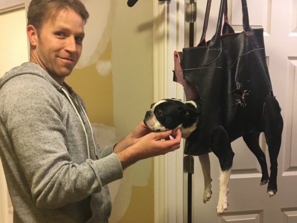 Peifer說：「我的狗很討厭剪指甲，所以我爸買了一個大包包，然後在上面開洞，把牠裝進去。」(圖/twitter@KendalPeifer)