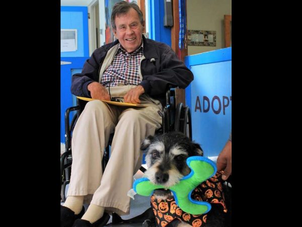 在PawPaw被救援組織Muttville Senior Dog Rescue拯救後，John領養了PawPaw。 (圖/The Dodo) 