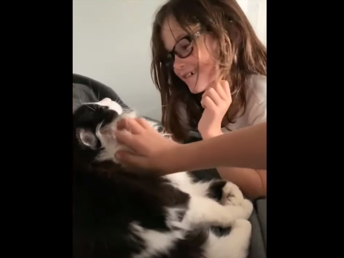 小女孩見到失而復得的愛貓，十分開心。 (圖/KEYT - KCOY - KKFX News)